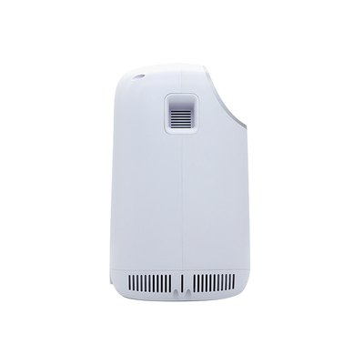 Adjustable Mini Portable Medical Oxygen Concentrator Machine High Efficient Lithium Sieve