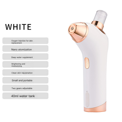 Airbrush Skin Care Beauty Equipment 19.5cm 10ml Nano Water Supplement Instrument